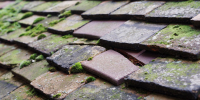 Weare roof repair costs